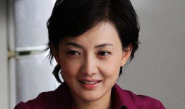 牛莉主演的电视剧大全,笑与泪交织的精彩人生