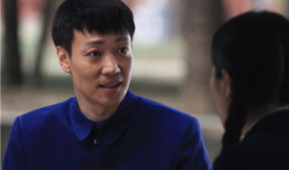 辛柏青主演的电视剧,情感纠葛与命运抉择