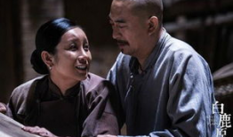 白鹿原电视剧大结局,命运交织，悲欢离合终章揭晓