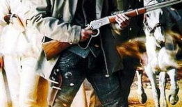 大漠枪神 电视剧全集,烽火岁月里的英雄传奇